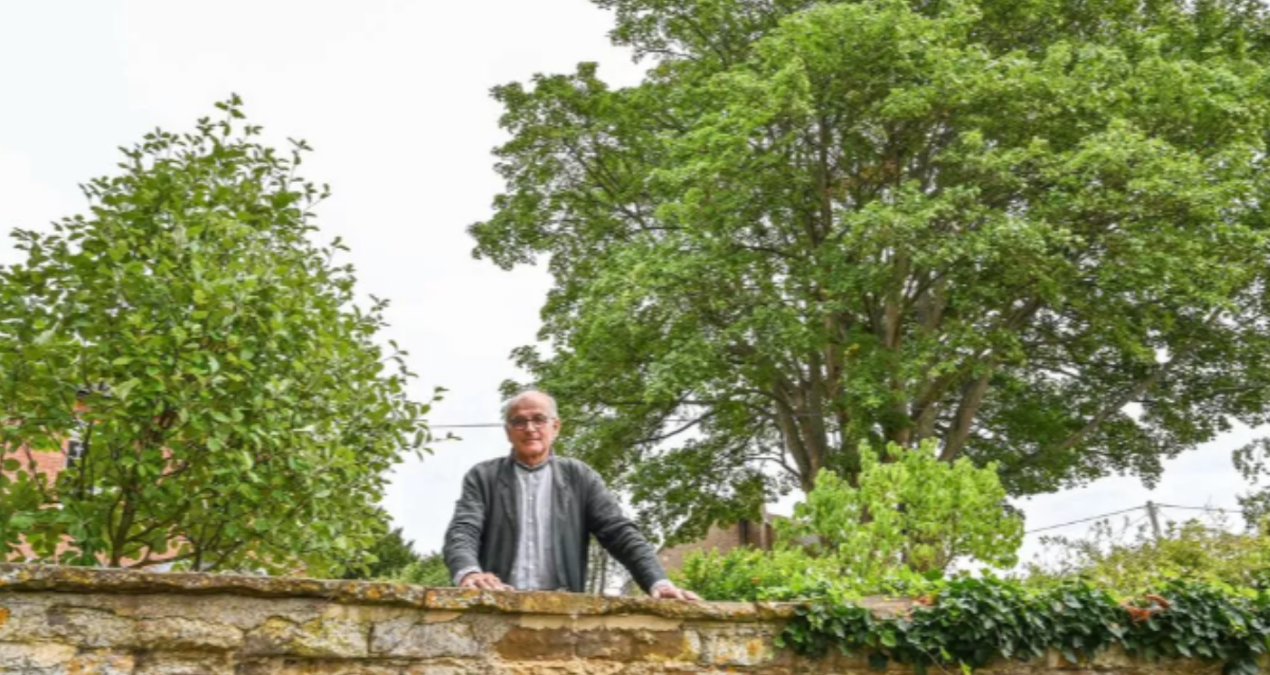 tum bu agac icin koy seferber oldu cok degerli C4M2rFwb