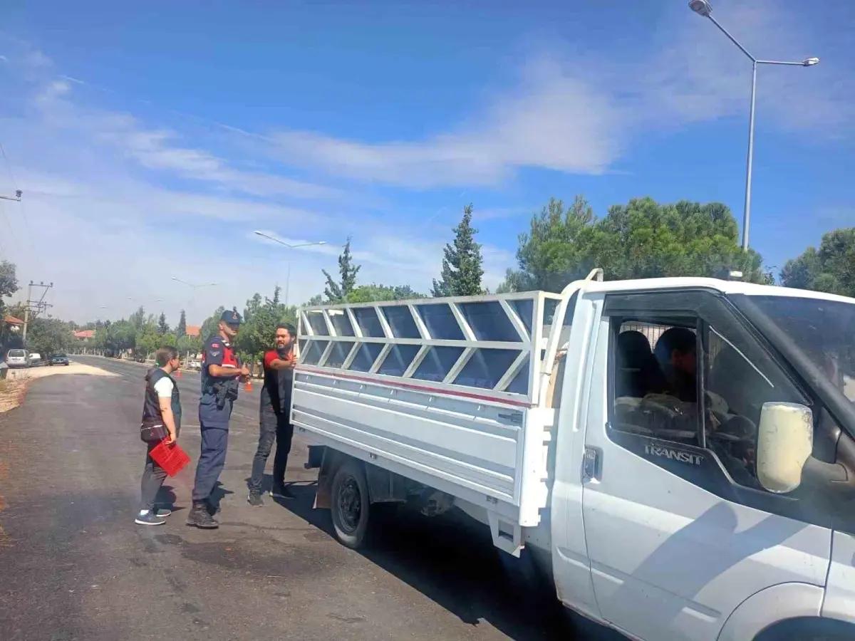 usakta sap hastaligina karsi yol kontrolleri suruyor jnULWb81