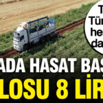 Hasat basladi tarlada kilosu 8 lira tirlarla turkiyenin her yerine dagitiliyor stlQPztF