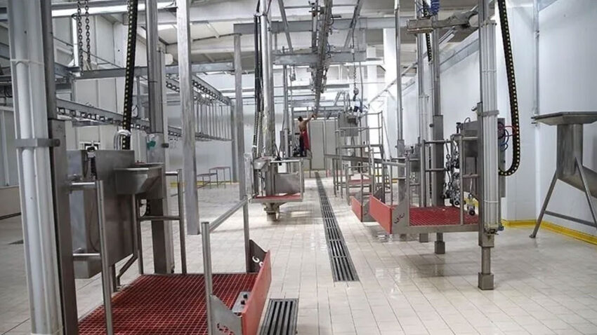 Kesimhanelerde kamera zorunlulugu 2027de baslayacak MNQEkeGx